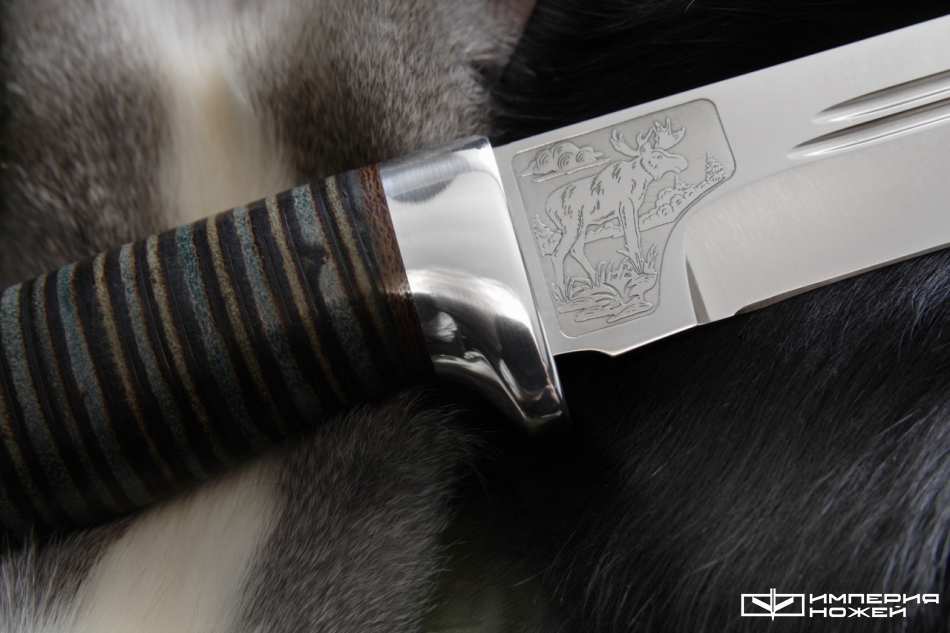 нож Сохатый Кожа – Златоуст АиР фото 3