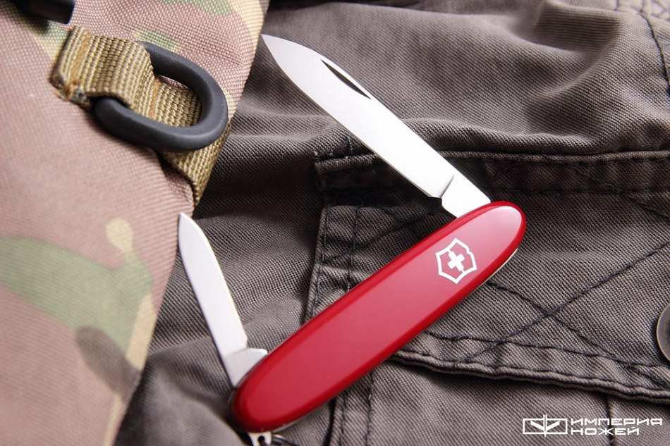 Excelsior red – Victorinox