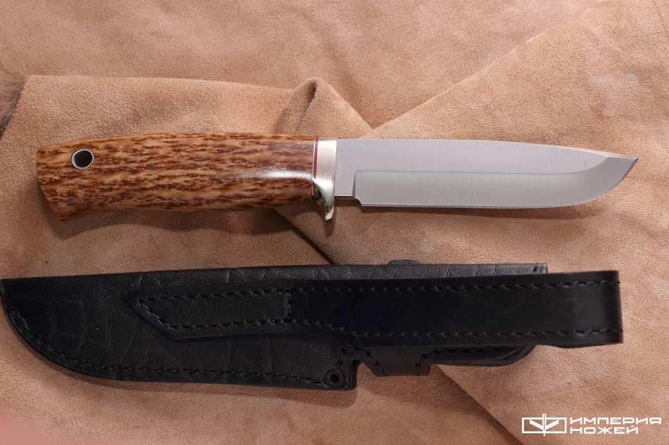 нож Кречет карельская берёза – Южный Крест фото 3