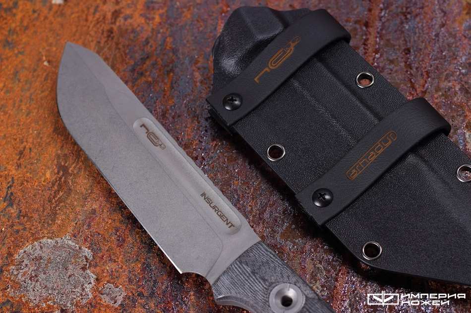 Insurgent – N.C.Custom фото 4