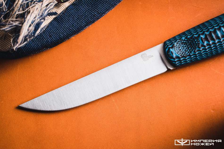 Нож с фиксированным клинком North-F Сучок N690 Black/Blue G10 – Owl Knife фото 2