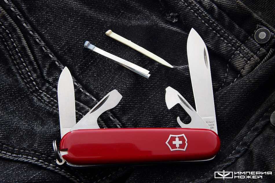 Recruit – Victorinox