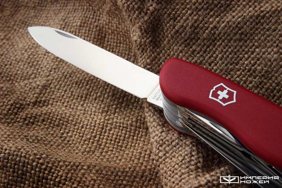WorkChamp – Victorinox фото 5