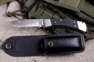 Buck Для охоты и рыбалки Нож Buck Folding Hunter Pro  