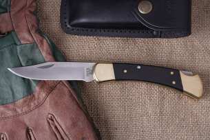 Buck Складной нож Folding Hunter 0110BRS